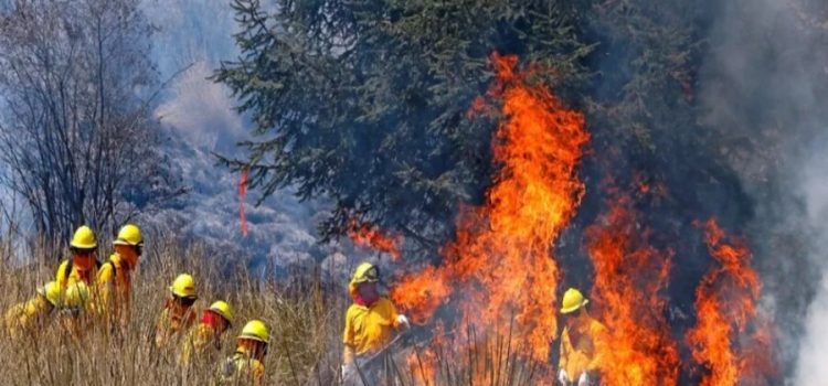 Por temporada de lluvia, se han logrado terminar 1,045 incendios en Edomex