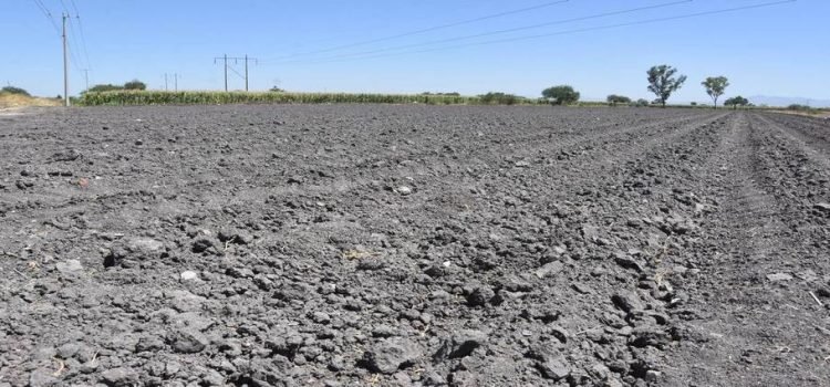 Preocupa a campesinos de Toluca las altas temperaturas de los últimos días