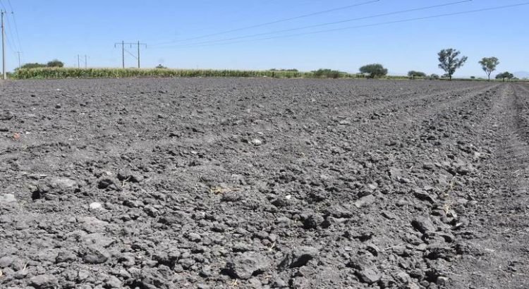 Preocupa a campesinos de Toluca las altas temperaturas de los últimos días