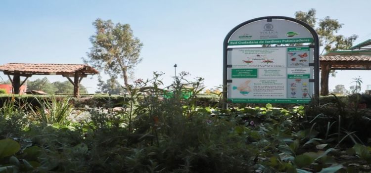 Solicitan instalar polinizadores en parques públicos del Edomex