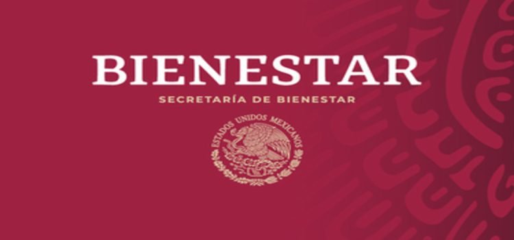 Al menos 108 mil personas se beneficiaron con programas de Secretaría del Bienestar en Edomex