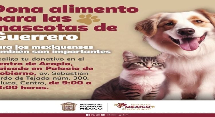 En Toluca, abren centro de acopio para mascotas de Guerrero