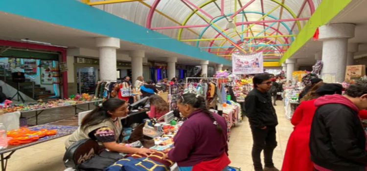 Realizan Festival Navideño con Causa en Toluca