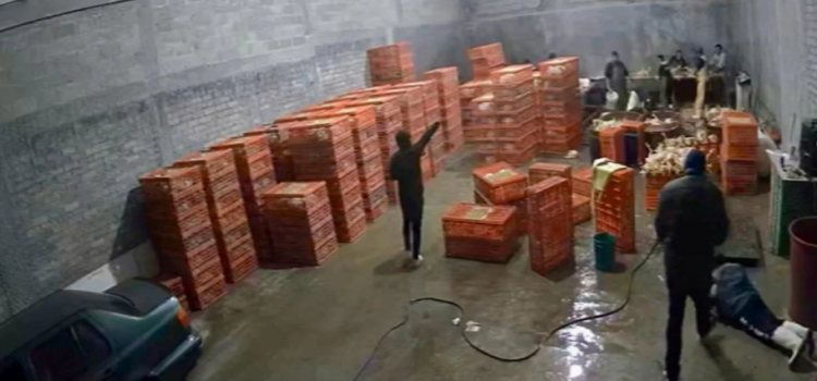 Suspenden custodia por falta de pago a dueña de expendio de pollo en Toluca