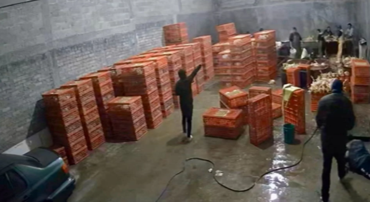 Suspenden custodia por falta de pago a dueña de expendio de pollo en Toluca