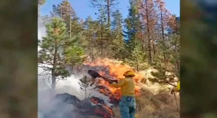 Incendio forestal en el Nevado de Toluca afectó 187 hectáreas