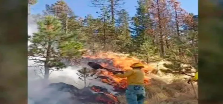 Donato Guerra es el municipio con más superficie afectada por incendios forestales