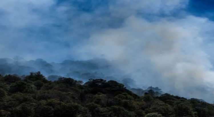 Humaredas ahogan a Toluca y no hay monitoreo ambiental
