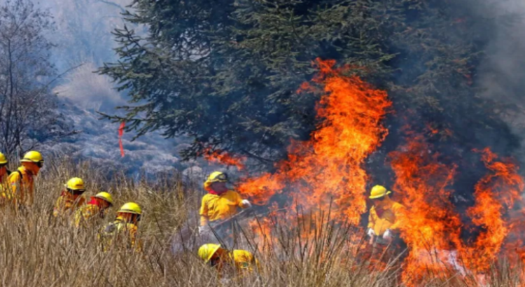 Cierran acceso a Nevado de Toluca ante incendios forestales