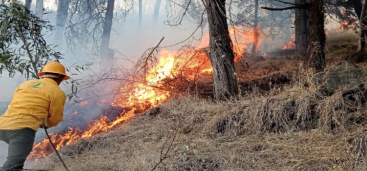 Se han controlado 40 incendios durante el primer trimestre del año en Toluca