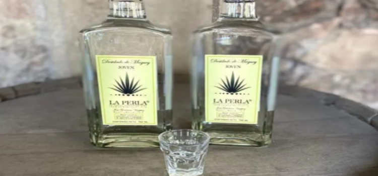 Avanza correctamente denominación de origen y certificación de mezcal en Edomex