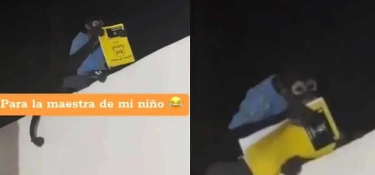 ¿Le creerá la maestra? en Culiacán un chango le robó la tarea a un niño