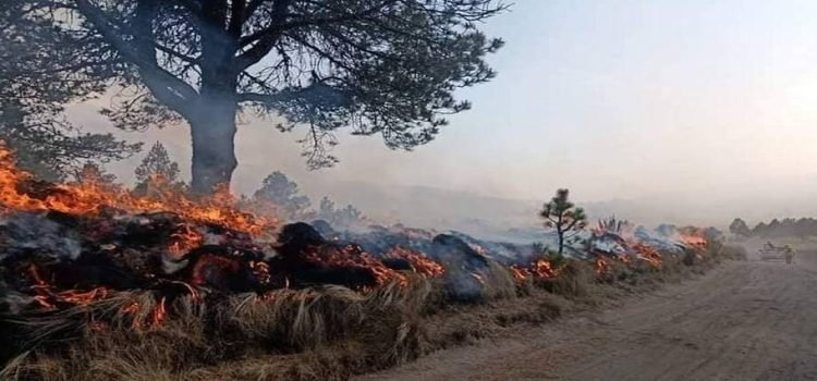 Incendios forestales asfixian al Valle de Toluca