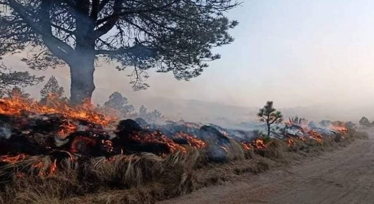 Incendios forestales asfixian al Valle de Toluca
