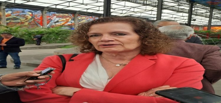 “Comercios de Toluca no están preparados para “Día Cero””: Verónica Valdes