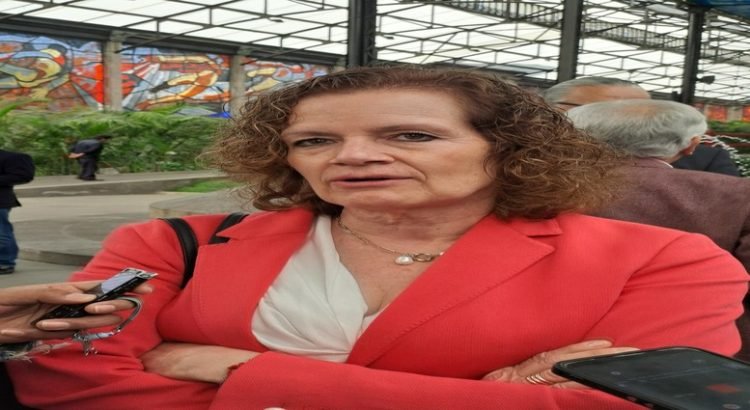 “Comercios de Toluca no están preparados para “Día Cero””: Verónica Valdes