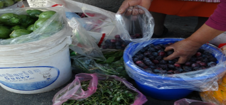 Productores agrícolas de Toluca registran pérdidas debido a falta de lluvias