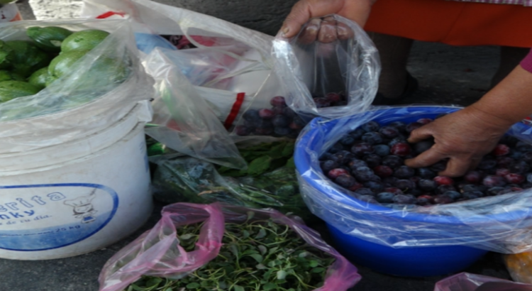 Productores agrícolas de Toluca registran pérdidas debido a falta de lluvias