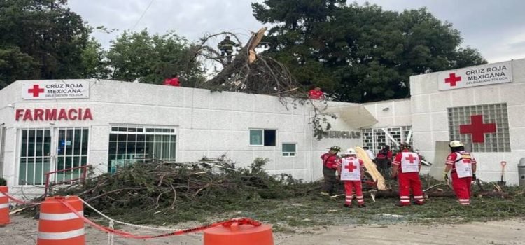 Árbol cayó sobre instalaciones de la Cruz Roja de Toluca