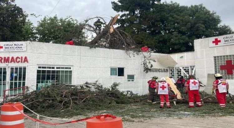 Árbol cayó sobre instalaciones de la Cruz Roja de Toluca