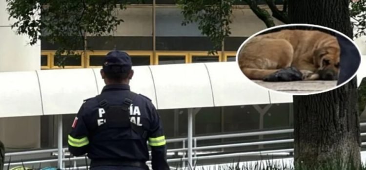 Muere hombre sin hogar en Toluca