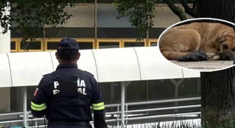 Muere hombre sin hogar en Toluca