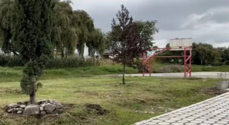 En Toluca, activistas buscan rescatar parque para primeras infancias