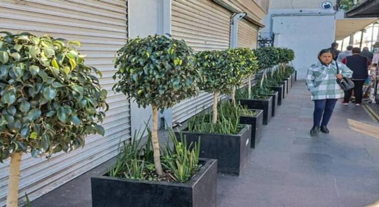 Colocan “macetas anti-vendedores” en zona centro de Toluca