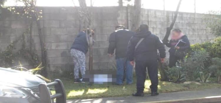 Localizan cuerpo de bebé enterrado en un predio de Toluca