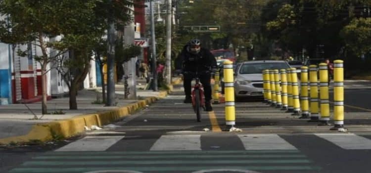 Construcción de ciclovía de Isidro Fabela en Toluca se encuentra al 67%