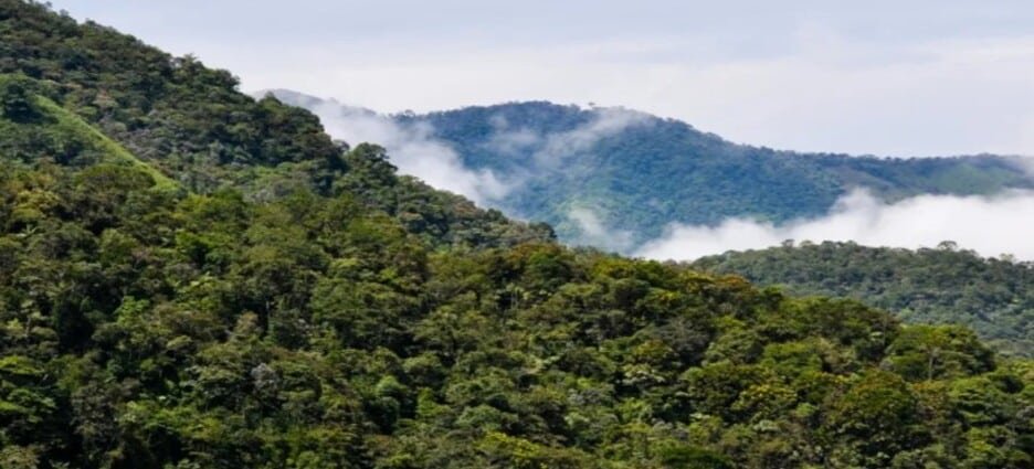 Congreso de Edomex cuenta con 32 iniciativas sobre Código para la Biodiversidad