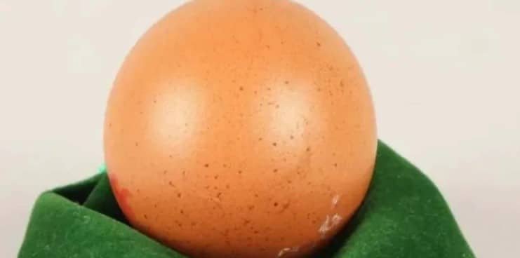 ¿250 dólares por un huevo?