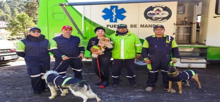 Supervisan emergencias en Nevado de Toluca