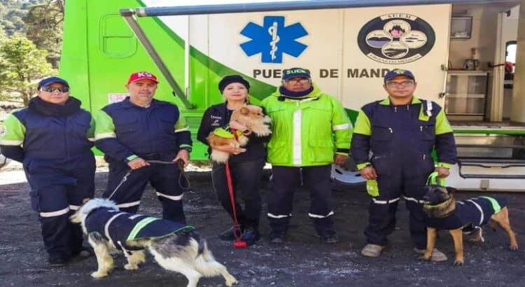 Supervisan emergencias en Nevado de Toluca