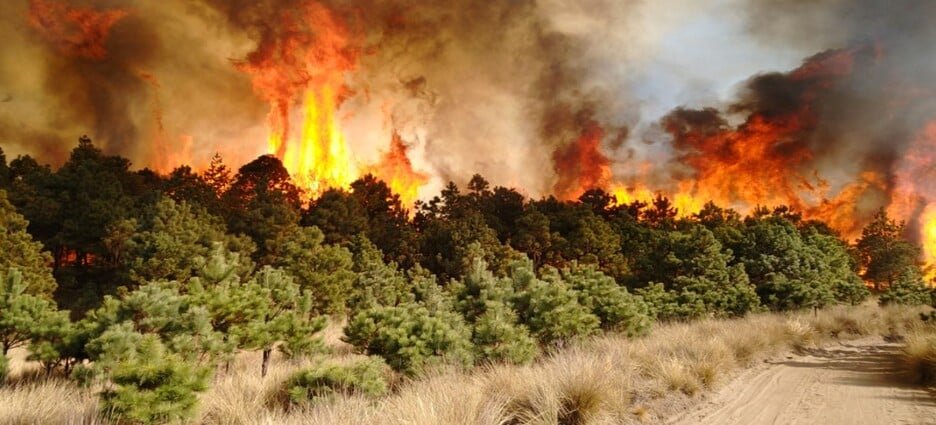 Han ocurrido 6 incendios en lo que va del año 2025 en Edomex