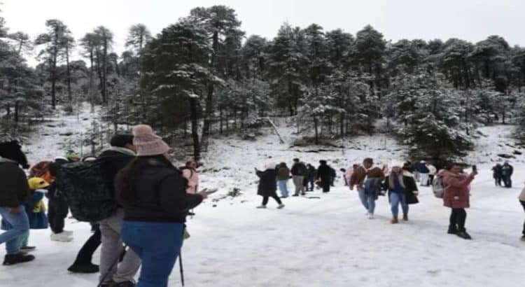 Limitan servicios para grupos de personas en Nevado de Toluca