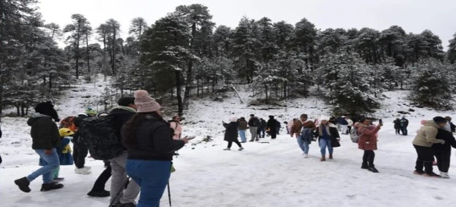 Limitan servicios para grupos de personas en Nevado de Toluca