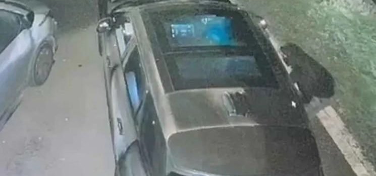 Se robaron un auto «imposible de robar»