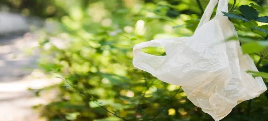 Comerciantes del Edomex solicitan alternativas para no usar bolsas de plástico