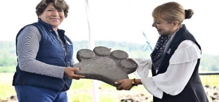 Fomentan cuidado y bienestar animal en Toluca