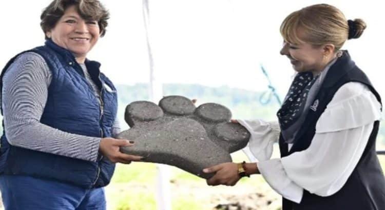 Fomentan cuidado y bienestar animal en Toluca