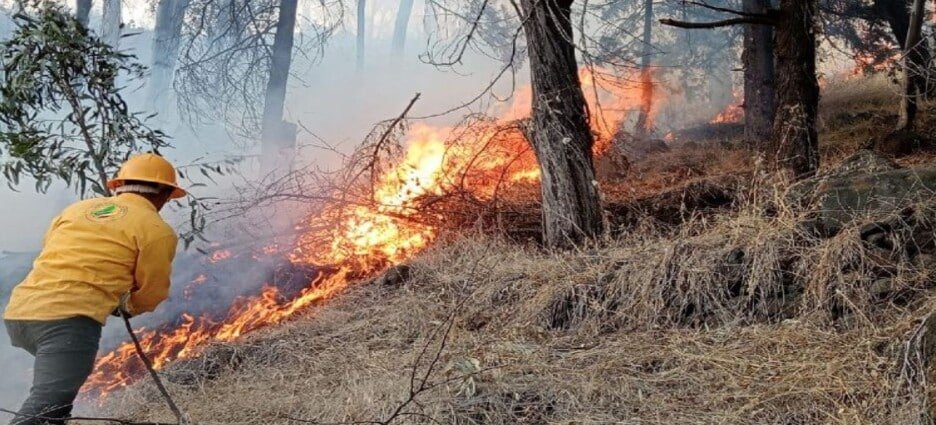 Elementos de Protección Civil y Bomberos de Edomex se preparan ante temporada de incendios forestales
