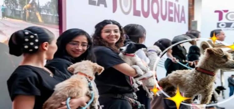 Presentan programa ‘Ponte guapo adoptando un perro o gato’ en Toluca