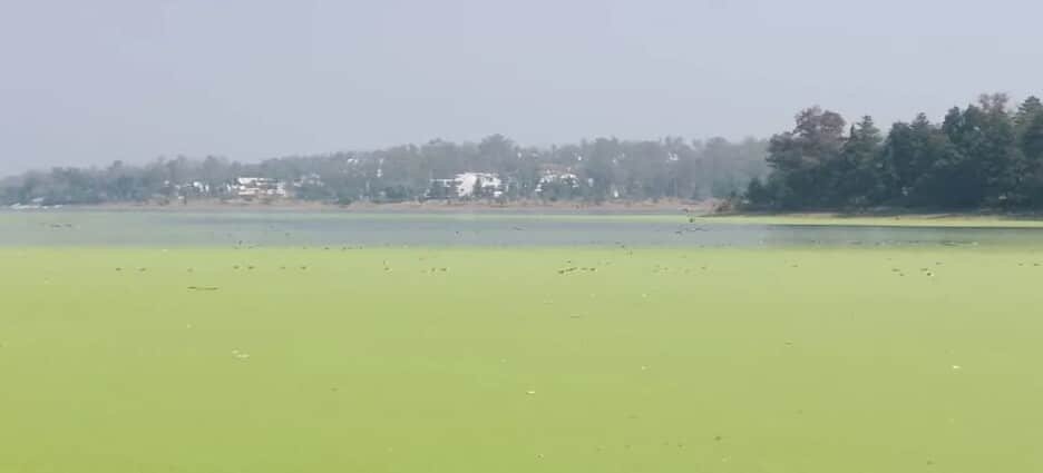 Municipios de Edomex se unen a la CAEM para sanear presas El Ángulo y Guadalupe