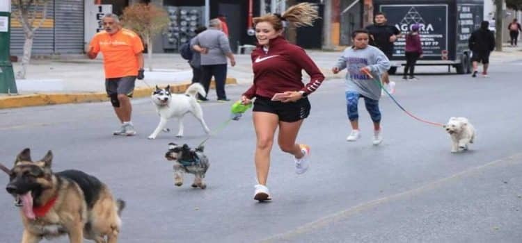 Anuncian Caminata Perrona en Toluca