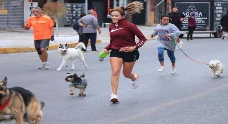 Anuncian Caminata Perrona en Toluca