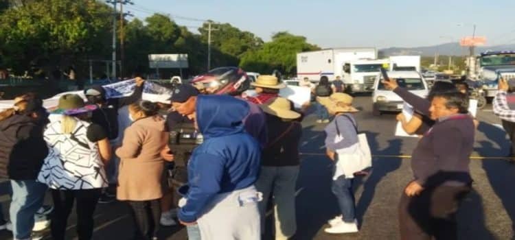 Habitantes exigen un alto a tala ilegal en Lerma