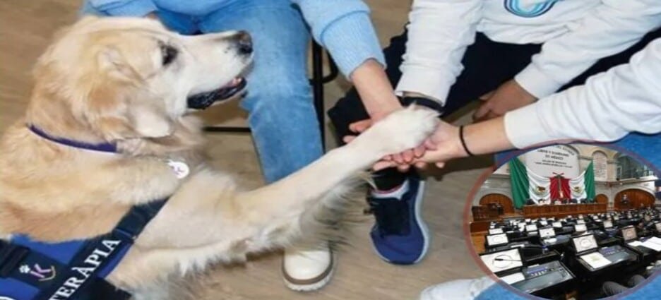 Presentan iniciativas sobre animales de asistencia y terapia al Congreso Edomex