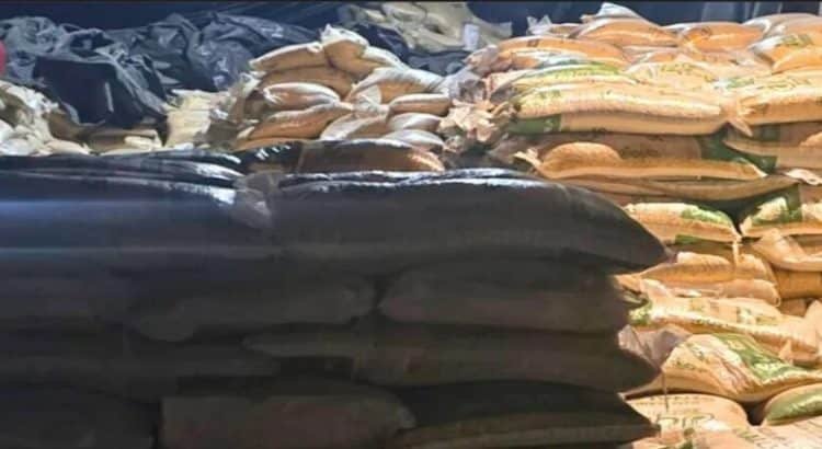 Incautan 100 toneladas de maíz en bodega de ex-alcalde de Almoloya de Alquisiras