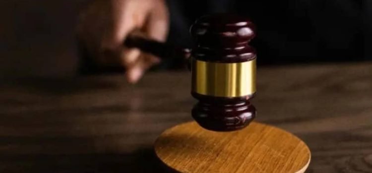 Más de 136 mil personas buscan ser observadores en las elecciones judiciales Más de 136 mil personas buscan ser observadores en las elecciones judiciales